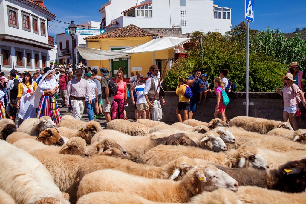 TEROR, SPAIN - September 07: Visitors are participants enjoying street procession, part of religious harvest celebration Fiestas del Pino, on September 07, 2019 in Teror, Gran Canaria, Spain