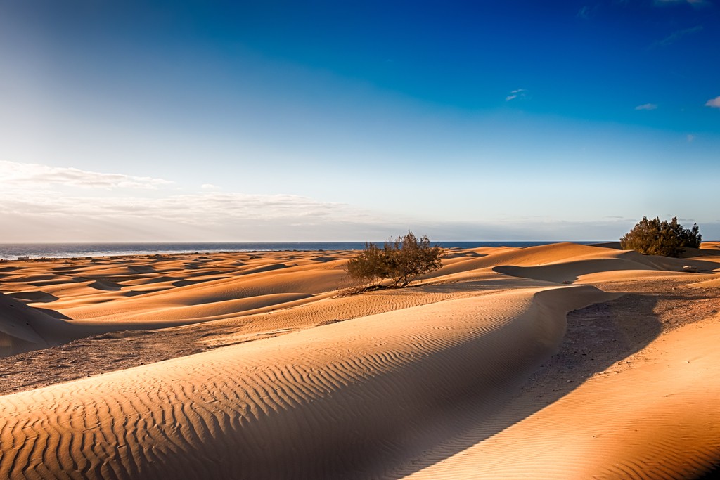 View of Maspalomas Dunes in Playa del Ingles, Maspalomas, Gran Canaria, Spain. HDR.