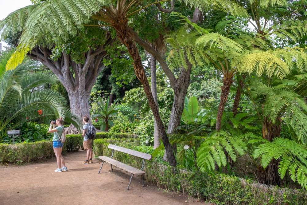 Tenerife, Canary islands - august 30, 2018: Interior view of the gardens of Hijuela del Botanico in the historic center of the village of La Orotava and a couple of tourists taking photos