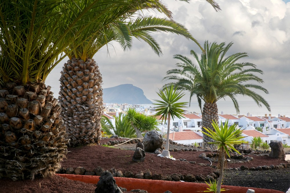 View of snow-white houses on a mountain background and palm trees in the foreground on a cloudy winter day. Vacation in Spain. Tenerife.