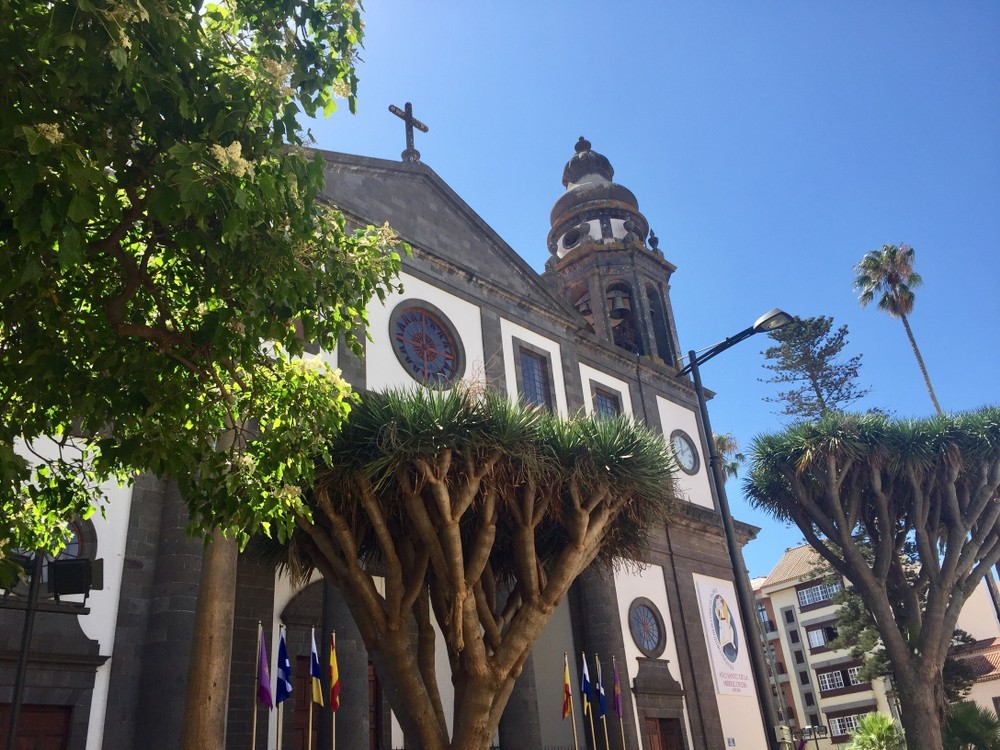 Beautiful church in the old town of San Cristóbal de La Laguna (Cathedral Nuestra Señora de los Remedios). Colonial architecture. UNESCO World Heritage. Olive trees (Tenerife, Canary Islands, Spain)