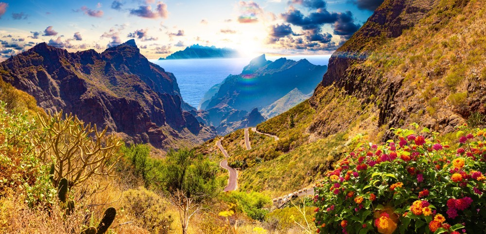 Masca valley.Canary island.Tenerife.Spain.Scenic mountain landscape.Cactus,vegetation and sunset panorama in Tenerife