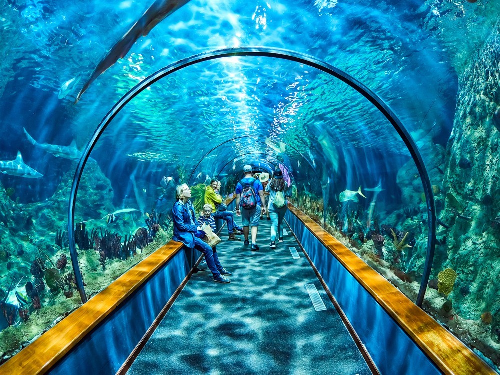 Tenerife, SPAIN - FEBRUARY 3, 2019: Aquatic tunnel with sharks and marine life in the Loro Park (Loro Parque), Tenerife.
