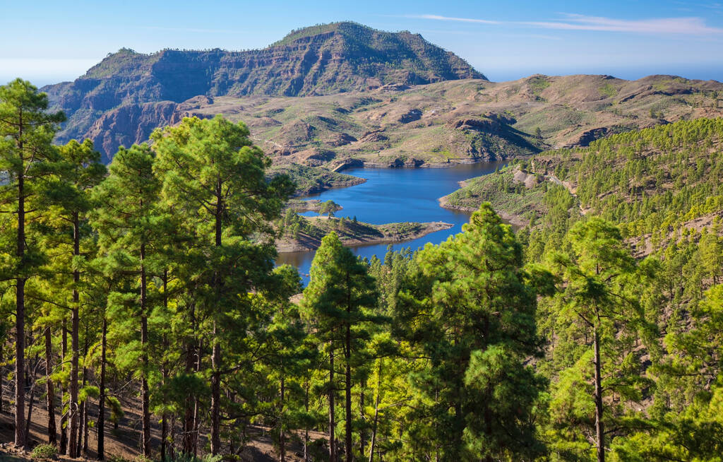 Gran Canaria, December,view from a hiking path in Inagua strict nature reserve towards freshwater reservoir Presa de Las Ninas
