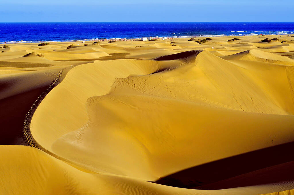 a view of the Natural Reserve of Dunes of Maspalomas, in Gran Canaria, Canary Islands, Spain
