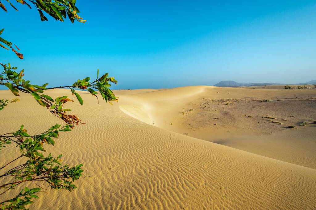 Dunes El Jable of National Park de Corralejo, Fuerteventura 