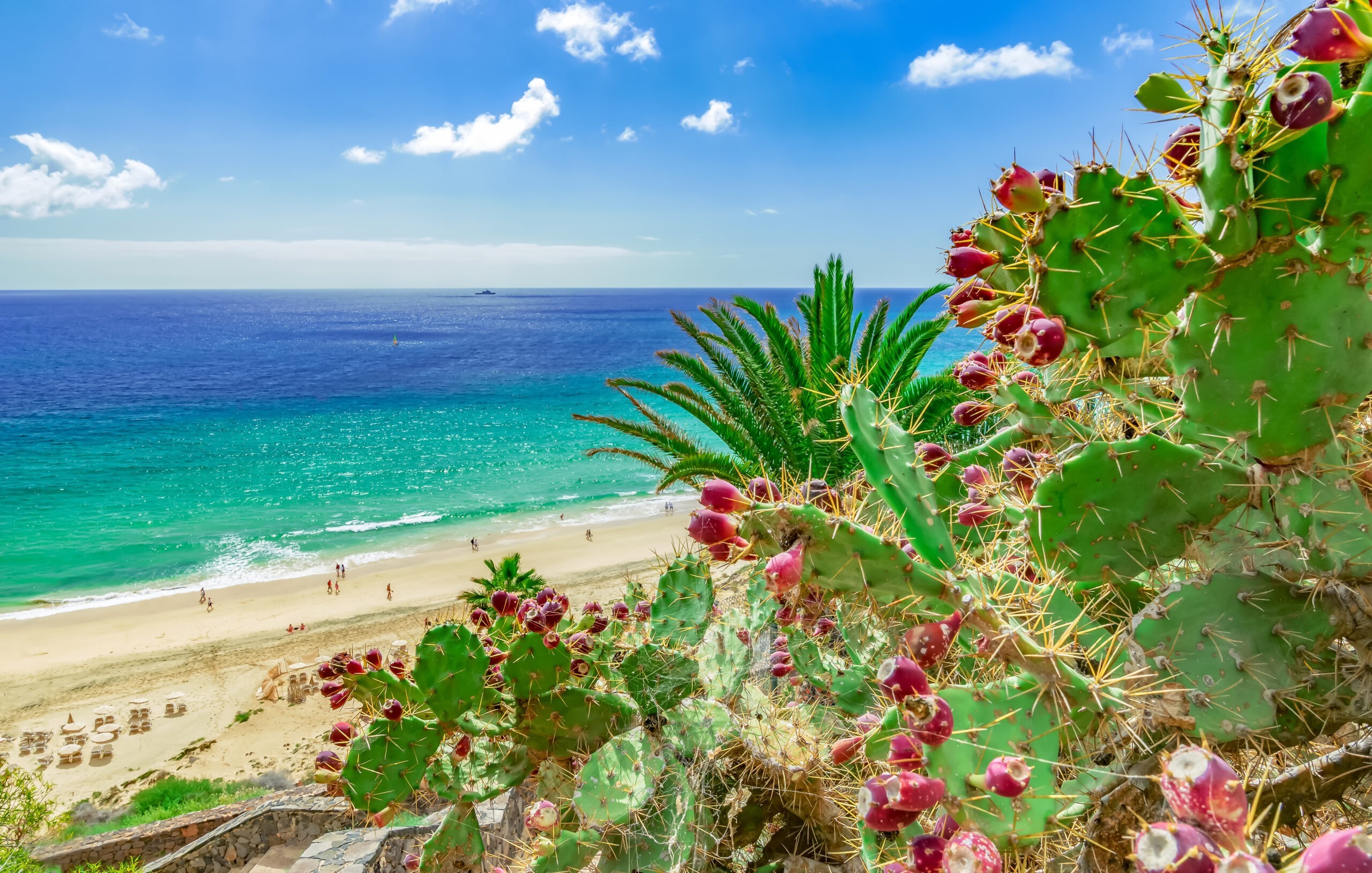 Plaża Esquinzo, Fuerteventura, Wyspy Kanaryjskie