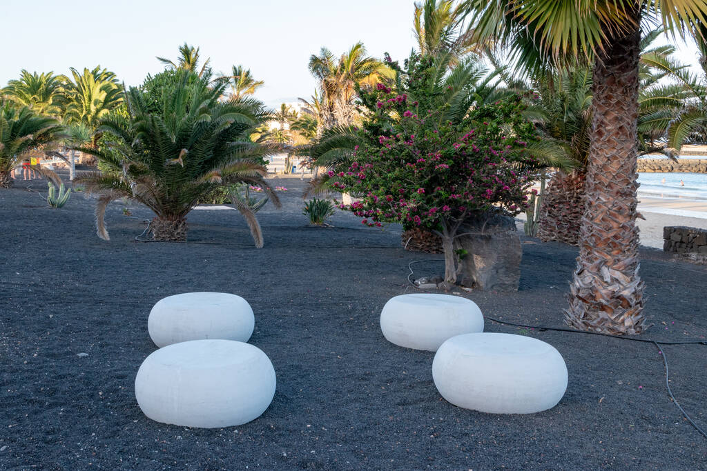 Gardens of the coastal walkway by the ocean in Costa Teguise, Lanzarote, Canary Islands, Spain