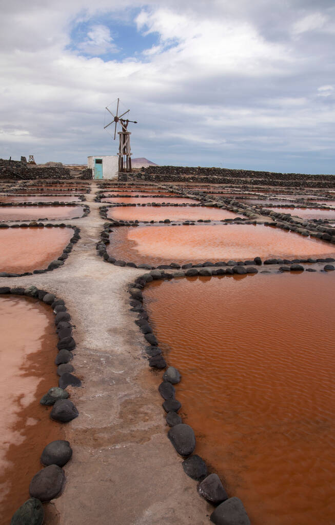 Gran Canaria, salt evaporation ponds Salinas de Tenefe, south east of the island, pink color created by algae Dunaliella salina