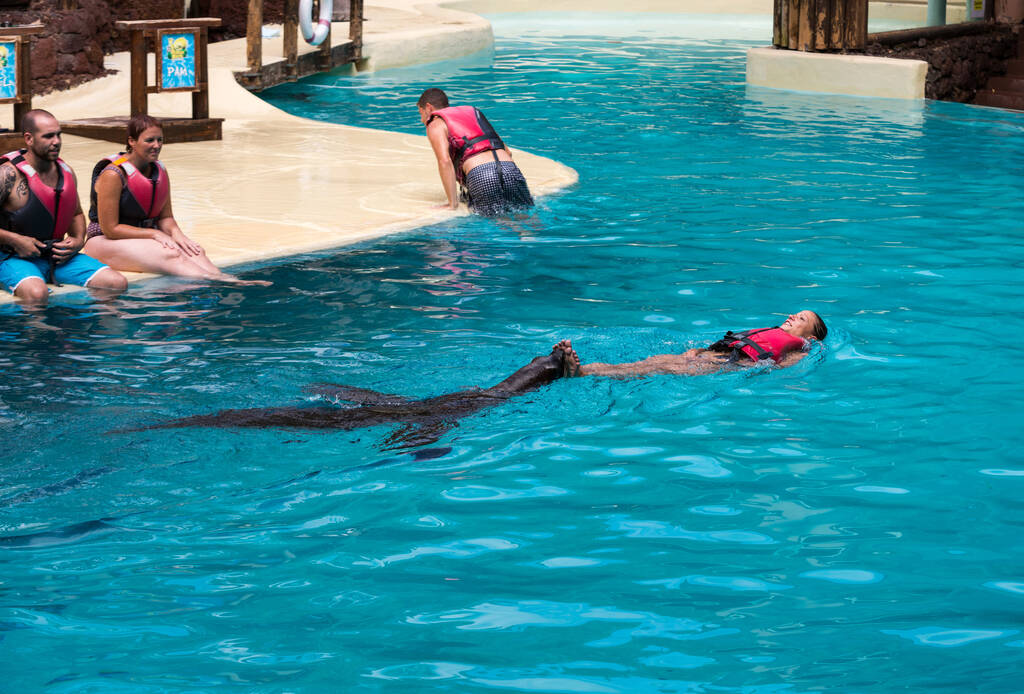 LA LAJITA, FUERTEVENTURA, SPAIN - SEPTEMBER 11, 2015:  Sea lions show in the pool,, Oasis Park, Fuerteventura, Canary Island, Spain