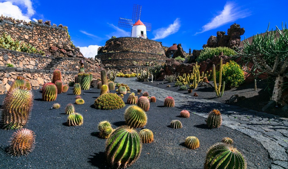 Ogród Kaktusów na Lanzarote, fot. shutterstock.com