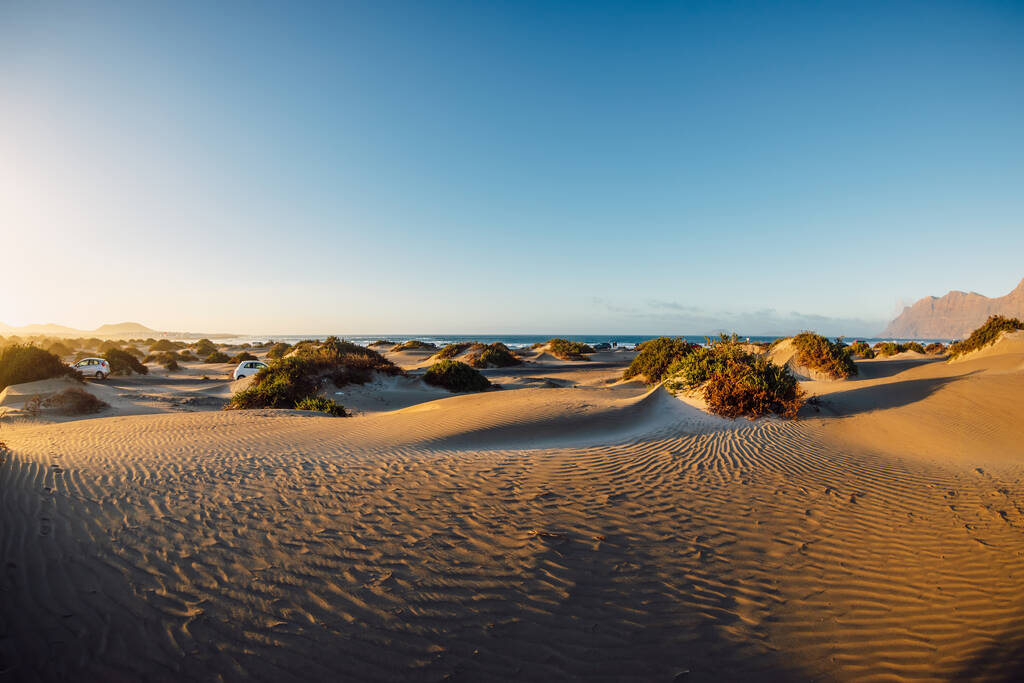 Sandy dunes with plants at sunset in Famara beach, Lanzarote.