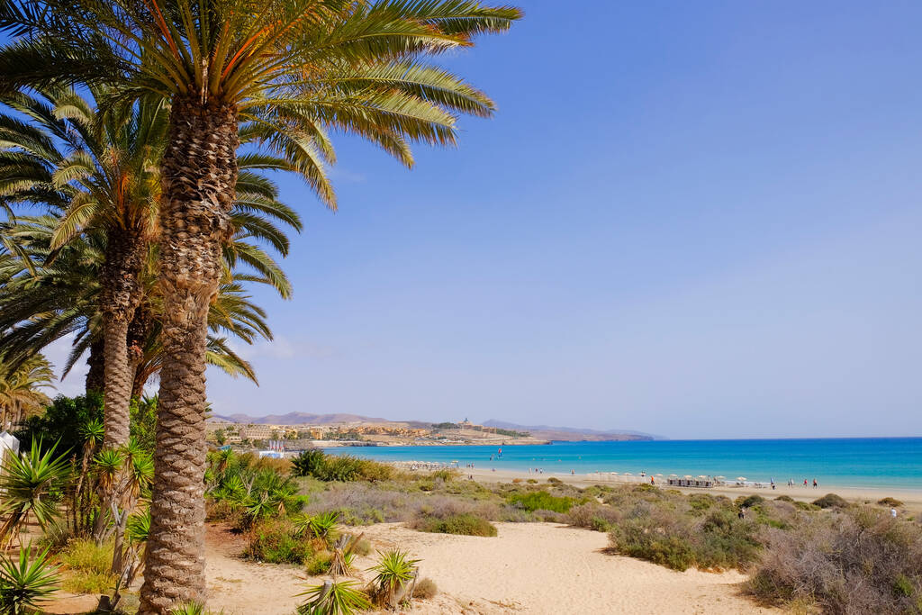 View on the beach Costa Calma on the Canary Island Fuerteventura, Spain.