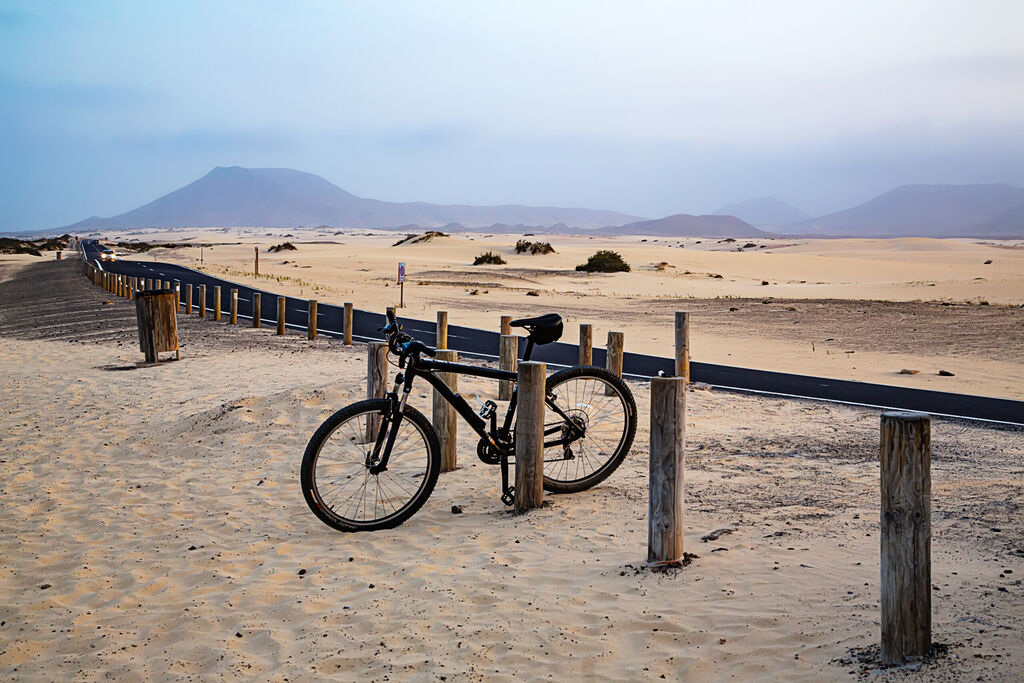 Rower stojący w pobliżu plaży surferów. W Parku Narodowym Corralejo., licencja: shutterstock/By PobedaYulia
