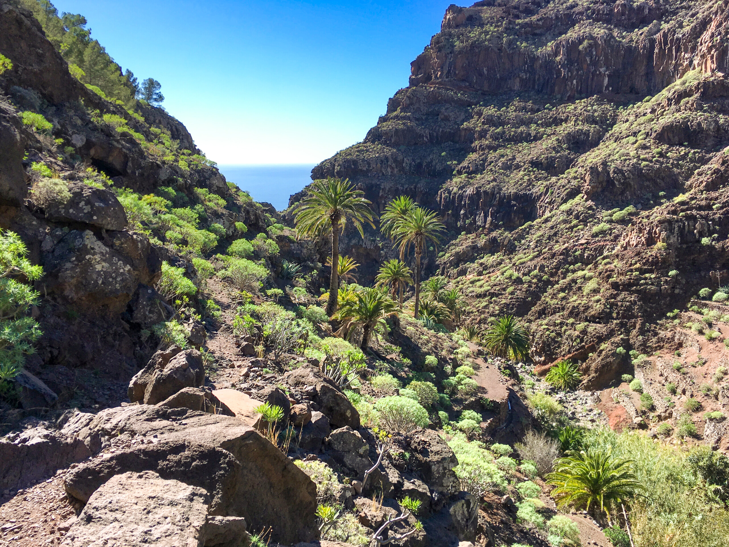 Wędrówka po kanionie Barranco de Argaga na La Gomerze. Wąwóz znajduje się obok Valle Gran Rey , licencja: shutterstock/By ksl